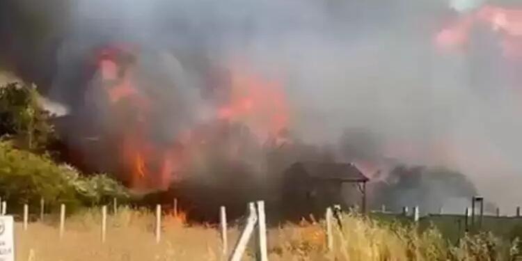 Ege’de orman yangınları sürüyor