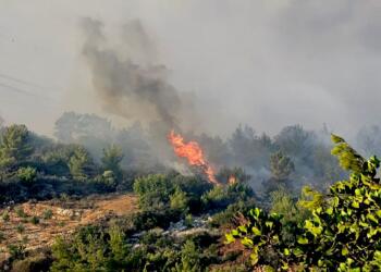 Buca’da orman yangını: Müdahale sürüyor