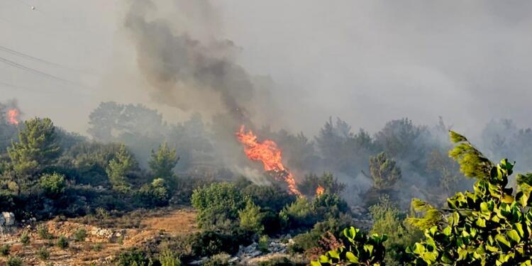 Buca’da orman yangını: Müdahale sürüyor