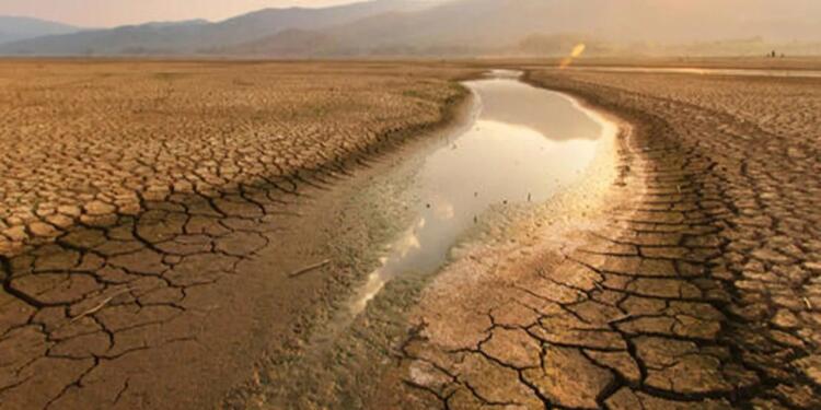 BM raporu: Türkiye’nin yüzde 88’i çölleşme riskiyle karşı karşıya