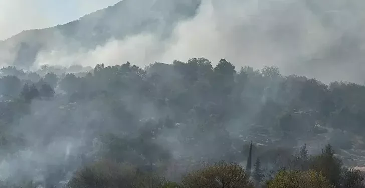 Licê’de çıkan yangın geniş alana yayıldı