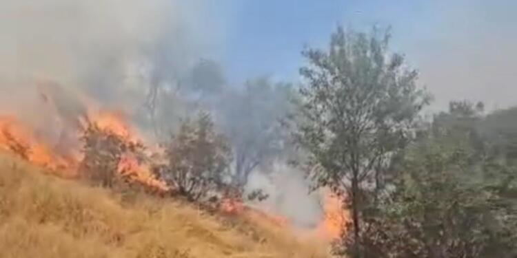 Omerya’daki yangın kontrol altına alındı