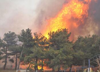 3 ilçedeki yangınlar kontrol altına alındı