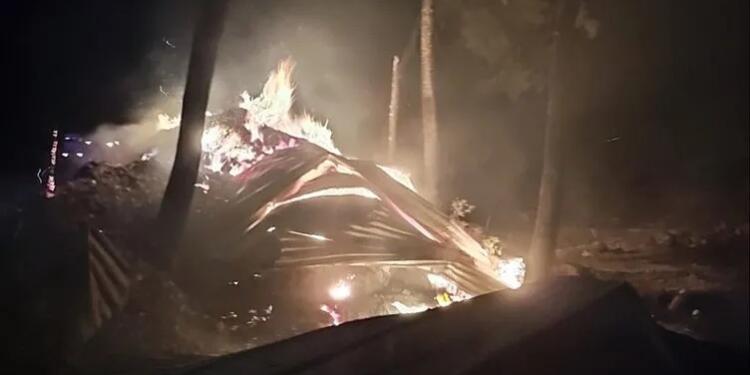 Bilecik’teki yangında 95 hayvan öldü