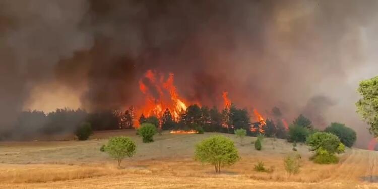 Safranbolu’da orman yangını: Köy tahliye edildi