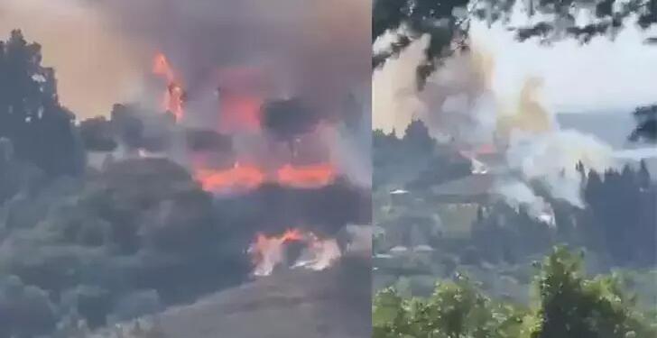 Karamürsel’de orman yangını: Müdahale sürüyor