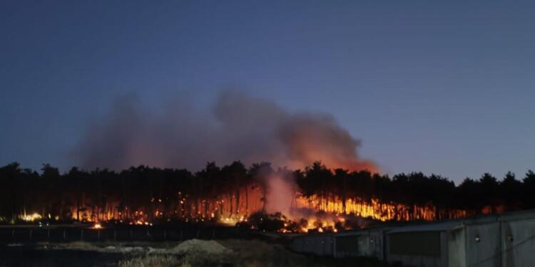 Balıkesir’deki orman yangınıyla ilgili 2 kişi tutuklandı