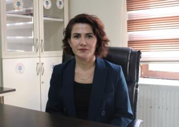 Boz: Öcalan’ın özgür çalışma koşulları sağlanmalı