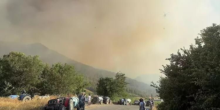 Sakarya’da orman yangını