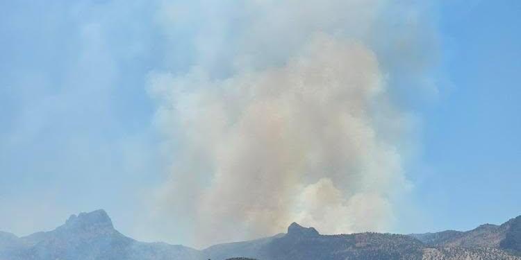 Cudî Dağı’ında yangın