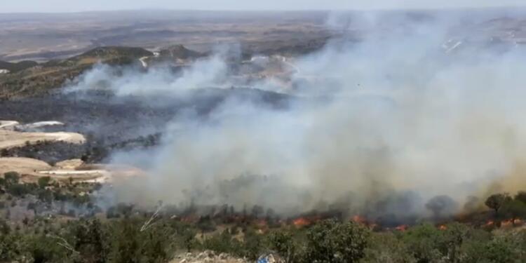 Gabar’daki yangında binlerce ağaç küle döndü