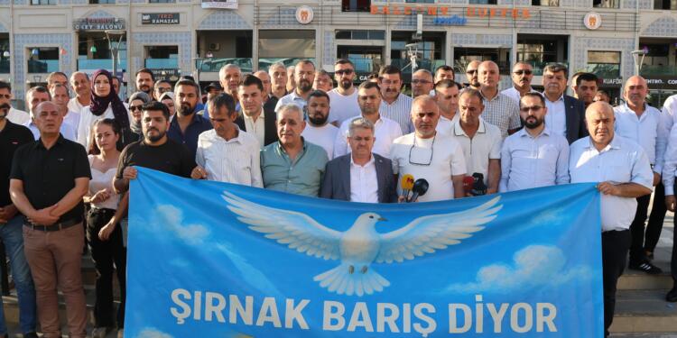 Şirnex’te 55 STÖ’den barış sürecine destek: Bu tren kaçmamalı