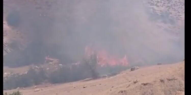 Silopiya’da ormanlık alanda yangın