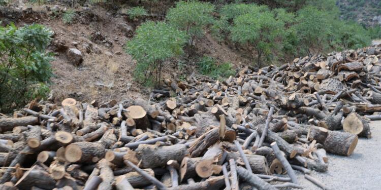 Şirnex Ekoloji Derneği’nden Valiliğe: Yasağa talancılar dahil mi?