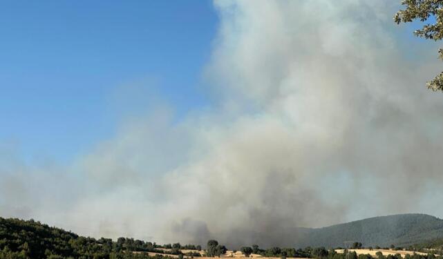 Ege’de orman yangınları sürüyor