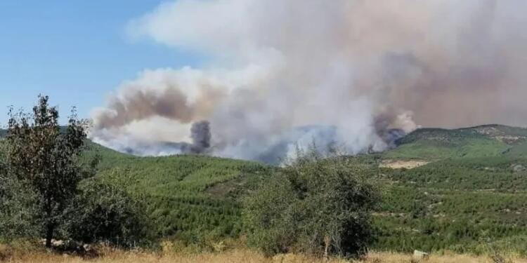 Uşak ve Afyon’da yangın