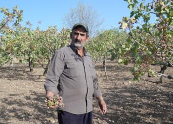 Baraj yoksulluk getirdi