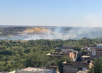 Hevsel Bahçeleri’nde çıkan yangın kontrol altına alındı