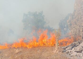 Askerlerin kırsal alanda yaktığı esrar yangın çıkardı