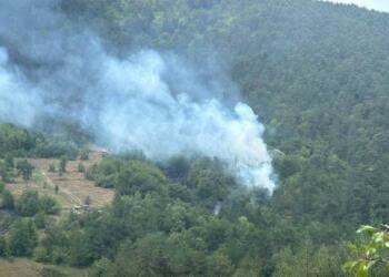 Bolu’da yangın çıktı