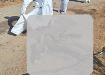 Siweyda’da 20 cenaze bulundu