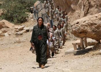 TAJÊ Koordinasyon üyesi: Şengal’in kurtarıcı silahları barışın sembolü oldu