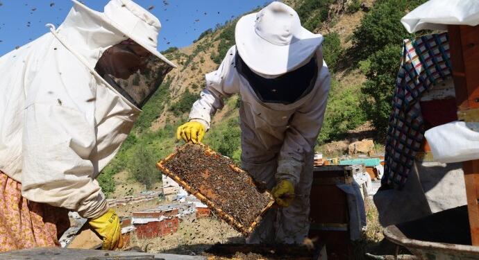 Arıcılar jeotermale tepkili: Herkes etkilenecek