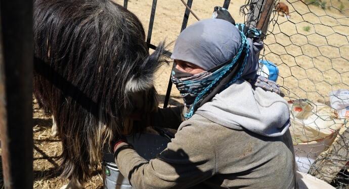 Licik’te bêrîvanlık yapıyor: İnsanlar burayı terk etmek zorunda kalacak
