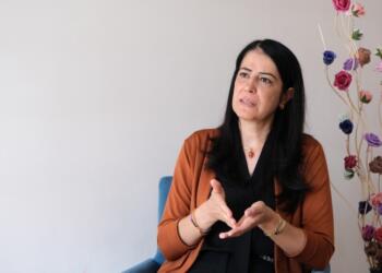 Ayla Akat Ata: Baş müzakereci olarak Öcalan ile görüşülmeli