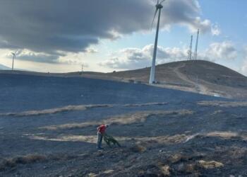 Balıkesir’de yangın: 10 dönüm arazi yandı