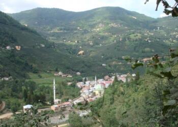 Tarım arazileri ve fındık bahçelerine sondaj izni