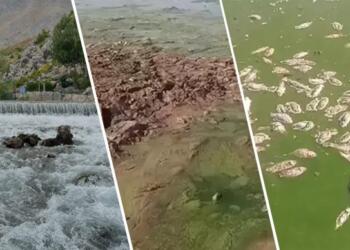 Şirnex susuzluğa teslim: Ekolojik talan, su kaynaklarını kuruttu