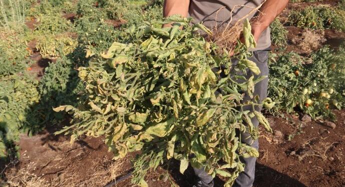 Sêwereg’in mahalleleri sistematik olarak elektriksiz ve susuz