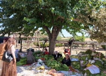 Farqîn Belediyesi şiddete karşı çalışmalarını kırsala taşıdı