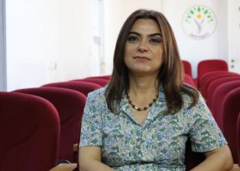 Gülistan Kılıç Koçyiğit: Siyasal irade ortaya çıktı