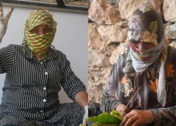 Tarladan eve: Kadınların bitmeyen emek ve direniş mücadelesi