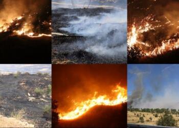 Yangın bölgesindeki yurttaşlar: Geç müdahale edildi