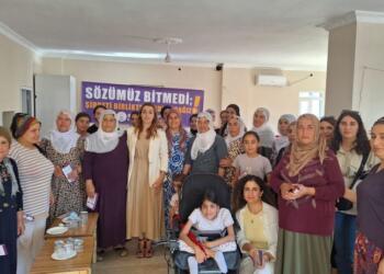 Bismil’de kadına yönelik şiddete karşı buluşma
