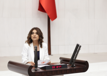 DEM Parti’den Filistin sorunu için 11 somut öneri