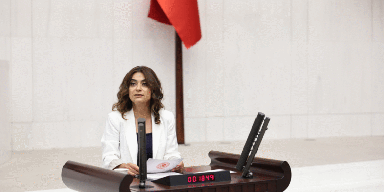 DEM Parti’den Filistin sorunu için 11 somut öneri