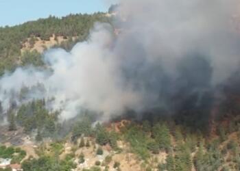 Susurluk’ta orman yangını sürüyor