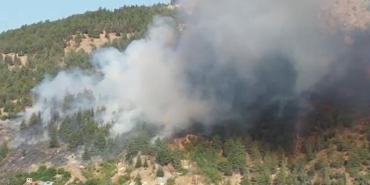 Susurluk’ta orman yangını sürüyor