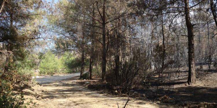 Aynı yerde defalarca yangın: Tedbirsizlik nedeniyle büyüyor