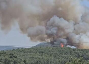 İzmir’de orman yangını