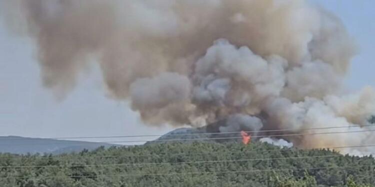 İzmir’de orman yangını