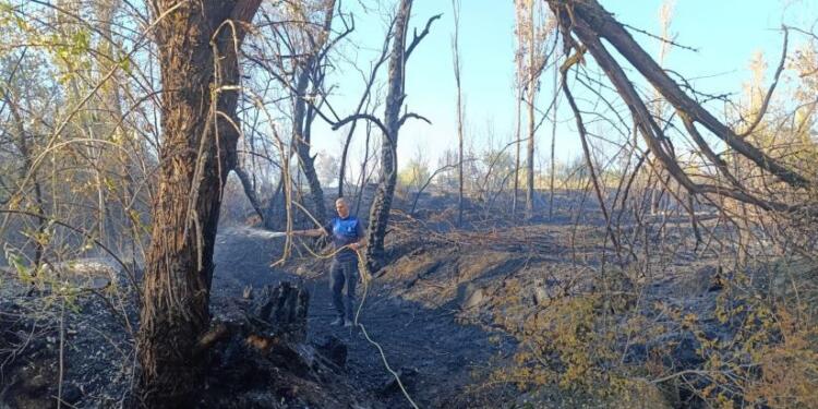 Yangına müdahale eden kadın yaralandı