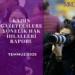 MKG Temmuz ayı raporu: 5 gazeteci tutuklu