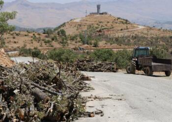 DEM Parti, orman talanını meclise taşıdı