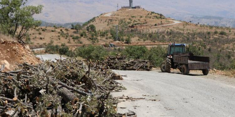 DEM Parti, orman talanını meclise taşıdı