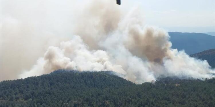 Sinop’ta orman yangını sürüyor